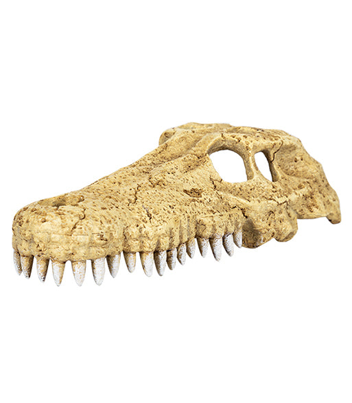 REPTIZOO - Terrarium Extras - Crocodile Skull Hide Cave -  Small (ERS34S) - Reptile Deli Inc.