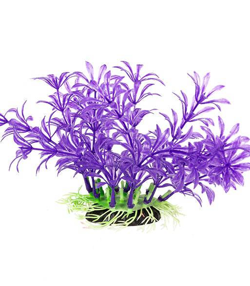 purple terrarium plant REPTIZOO