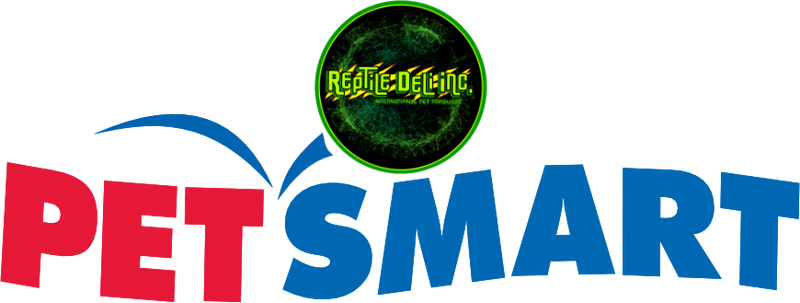 Petsmart online dubia roaches