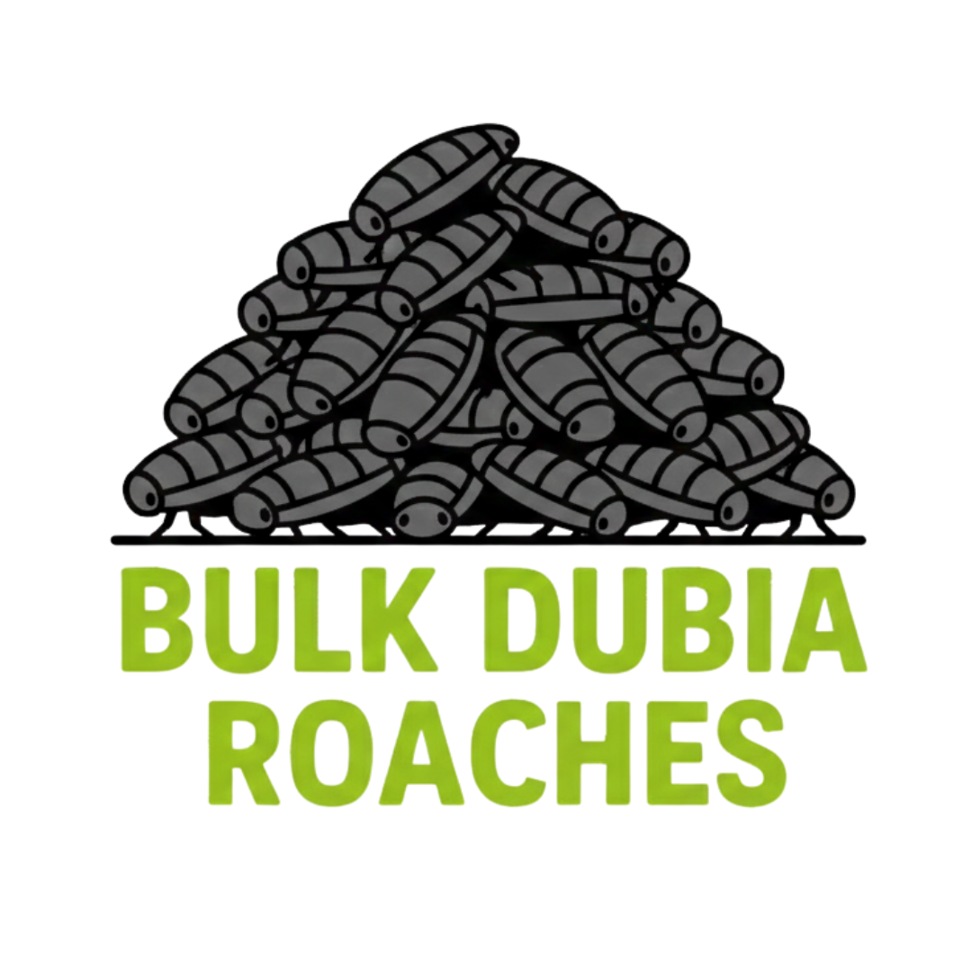 Live Dubia Roaches For Sale: Reptile Deli – Reptile Deli Inc.