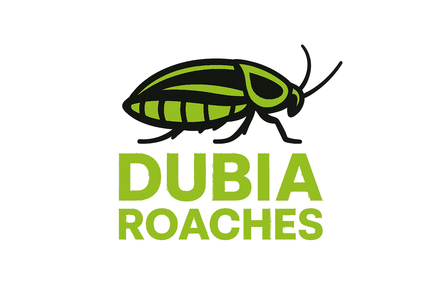 Dubia Roaches