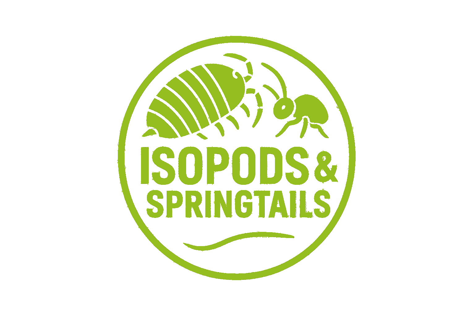Isopods & Springtails
