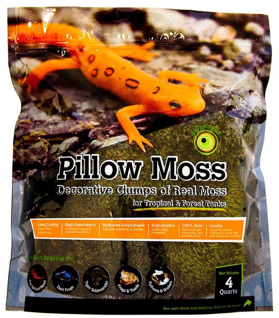 Galapagos Pillow Moss for Tropical  Forest Tanks 4QT