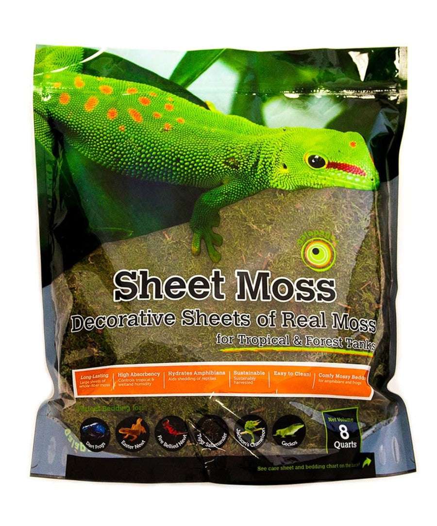 Galapagos Sheet Moss Decorative Sheet of Real Moss Substrate 8QT