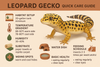 Leopard Gecko Quick Care guide