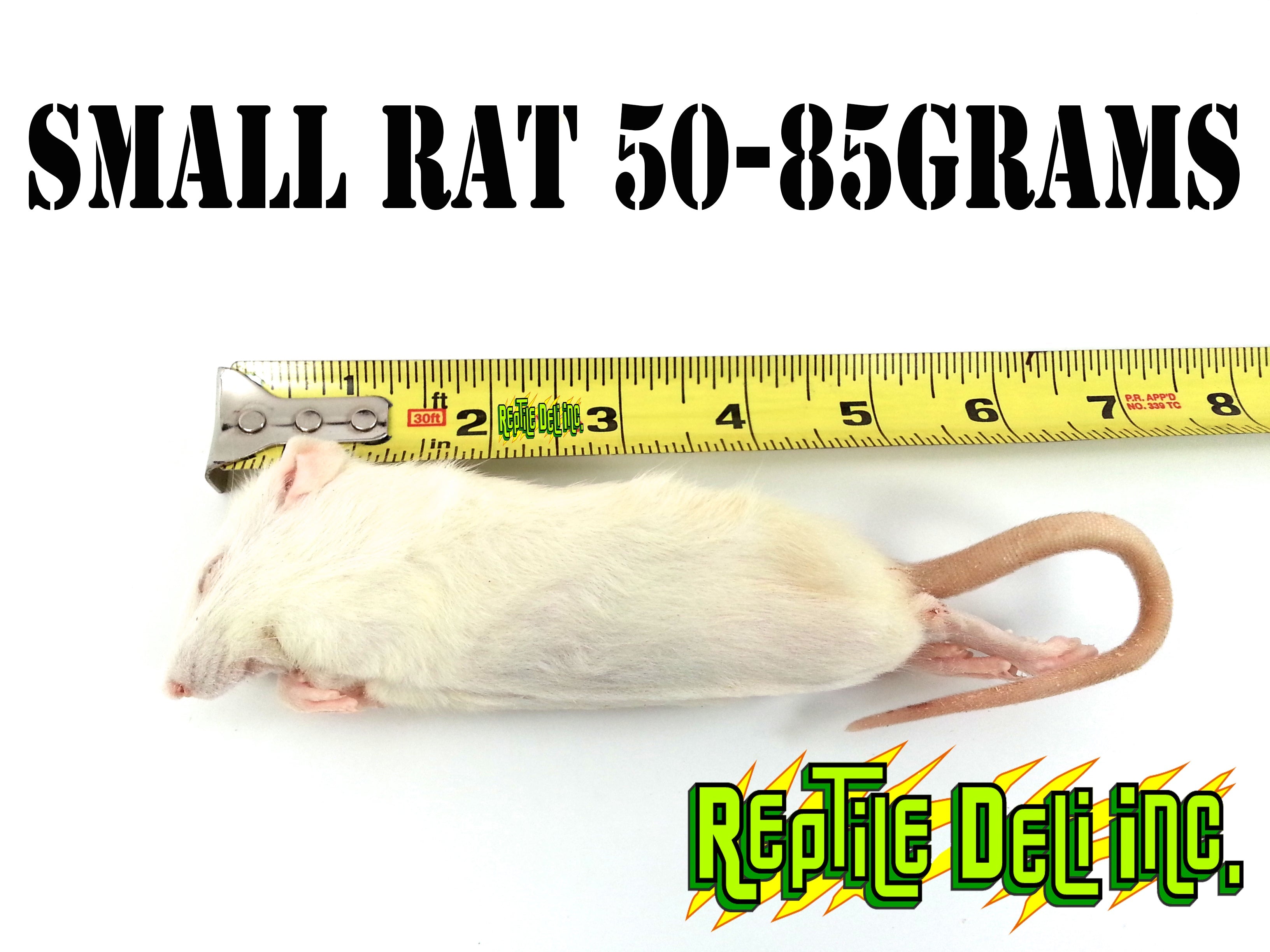 Frozen Rat - Small - Reptile Deli Inc.
