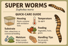 Super worm Quick-Care Guide