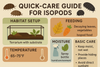 under feeding add Isopod food, and change the broccoli image to a carrot