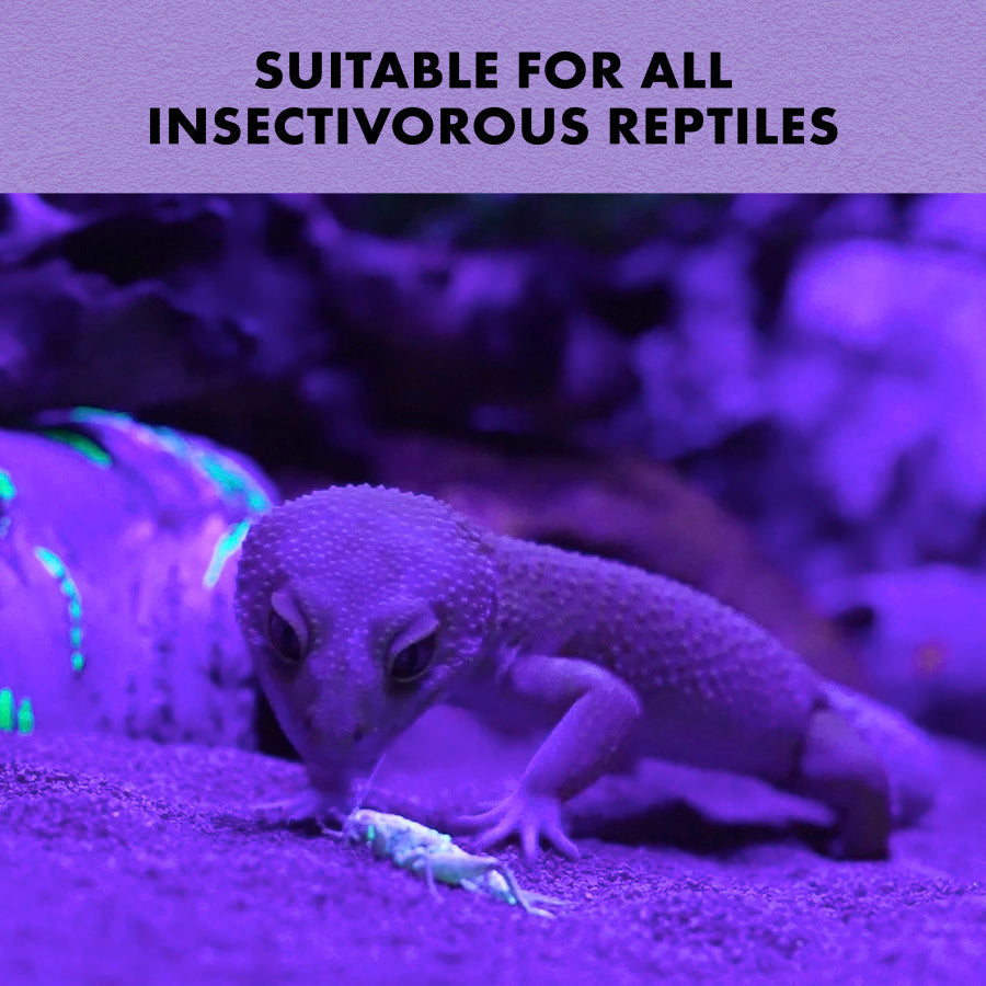 Zilla Cricket Glow Powder 4oz - Reptile Deli Inc.