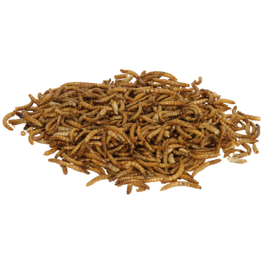 Zilla Reptile Munchies Mealworm .5oz - Reptile Deli Inc.