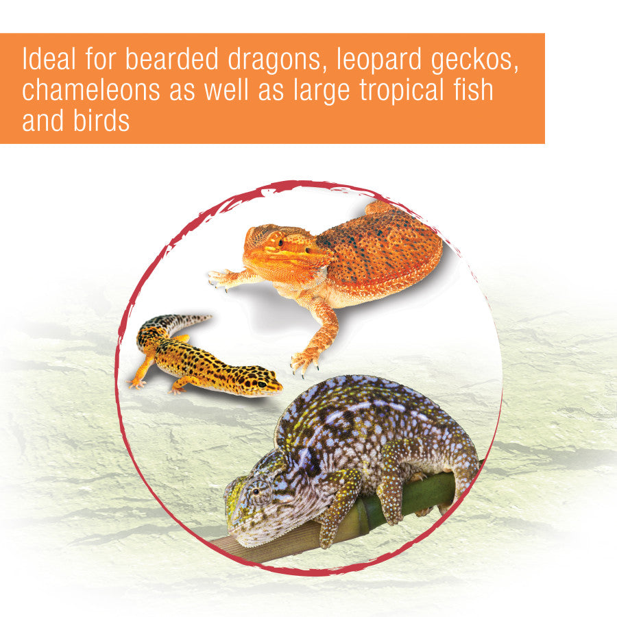 Zilla Reptile Munchies Mealworm .5oz - Reptile Deli Inc.