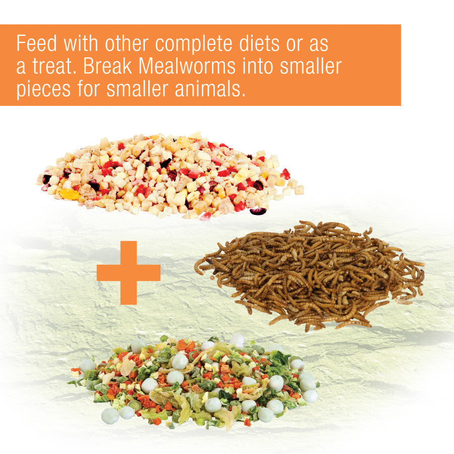 Zilla Reptile Munchies Mealworm .5oz - Reptile Deli Inc.