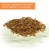 Zilla Reptile Munchies Mealworm .5oz - Reptile Deli Inc.