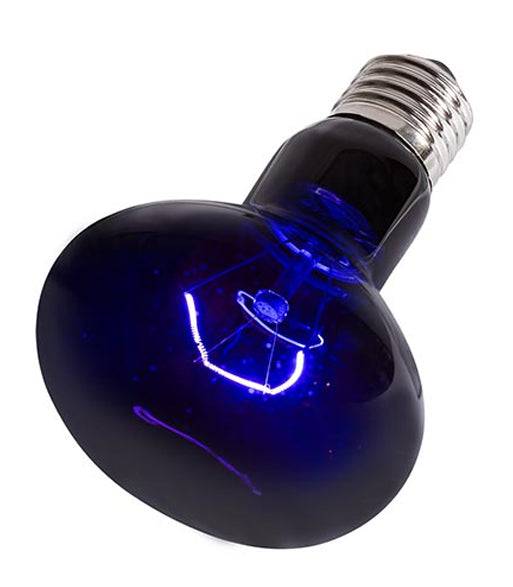 REPTIZOO - Lighting - Nightglow Heat Spot Lamp - 150W (D95150) - Reptile Deli Inc.