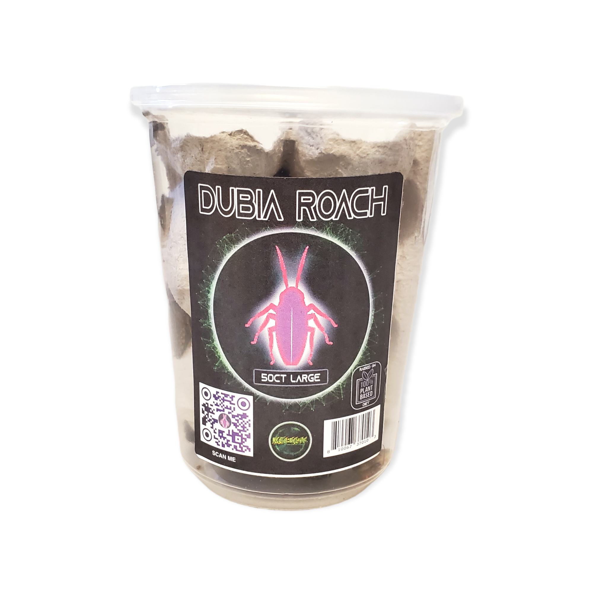 Dubia Roach - Large - Cupped Roaches (100ct) - Reptile Deli Inc.