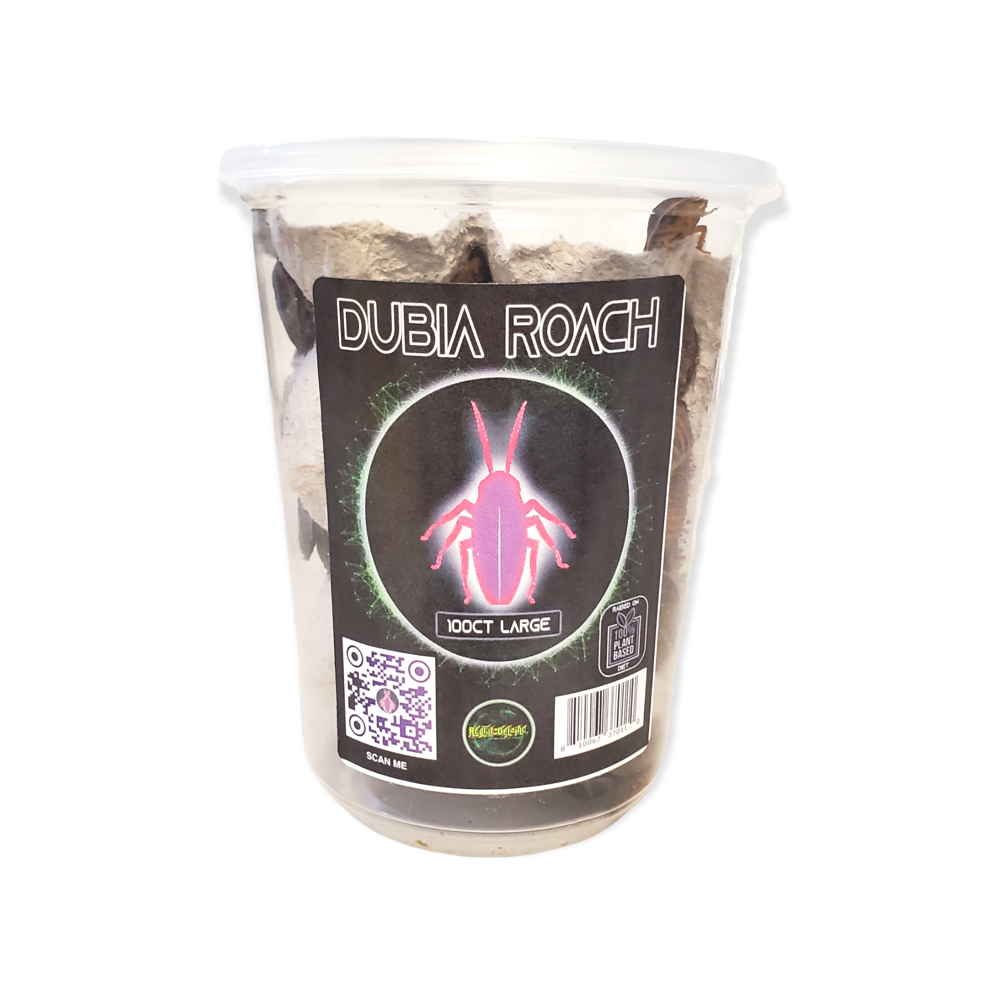 Dubia Roach - Large - Cupped Roaches Reptile Food (50ct) 10.00% Off Auto renew - Reptile Deli Inc.
