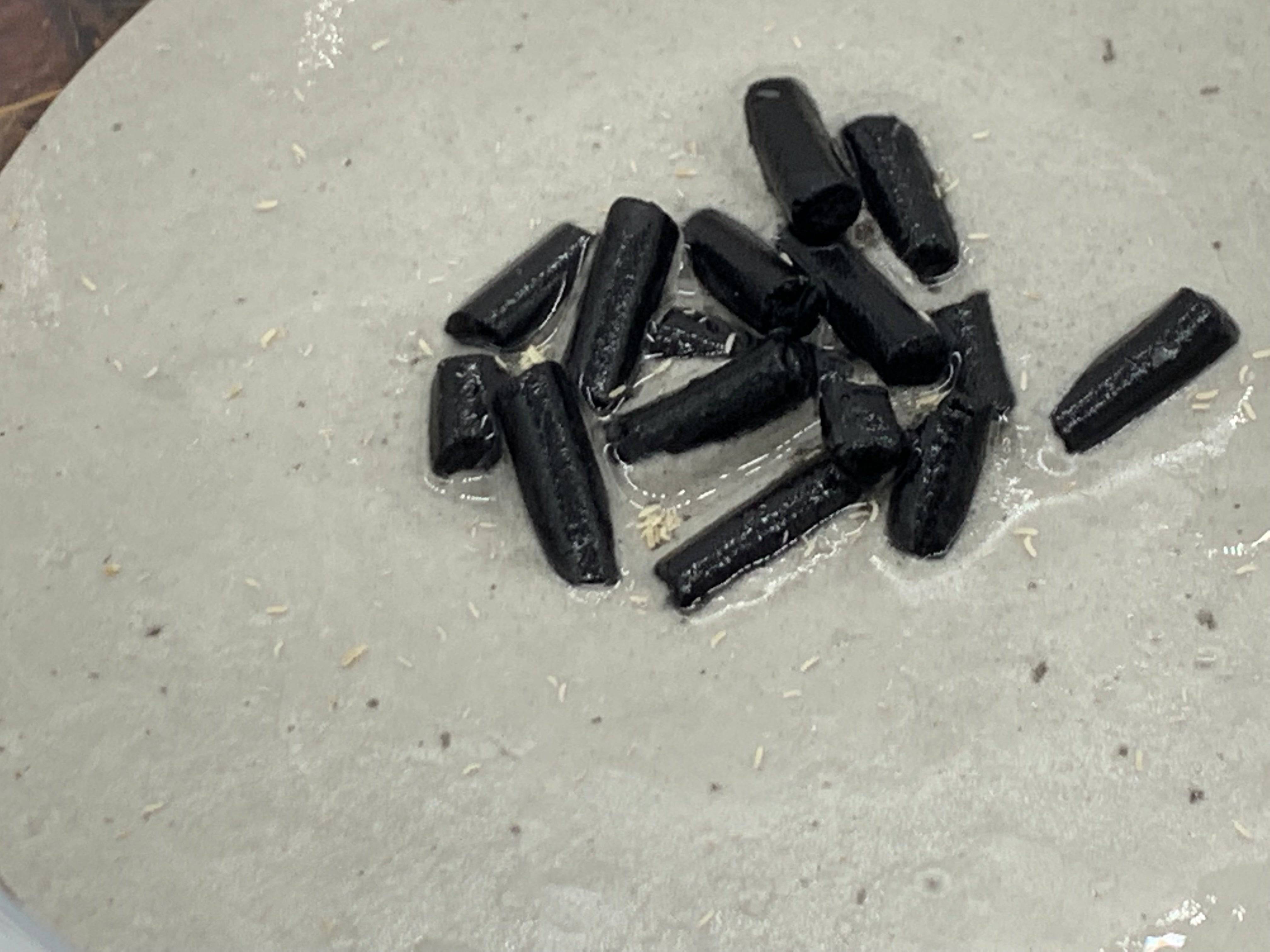 Temperate Springtail Culture - Reptile Deli Inc.