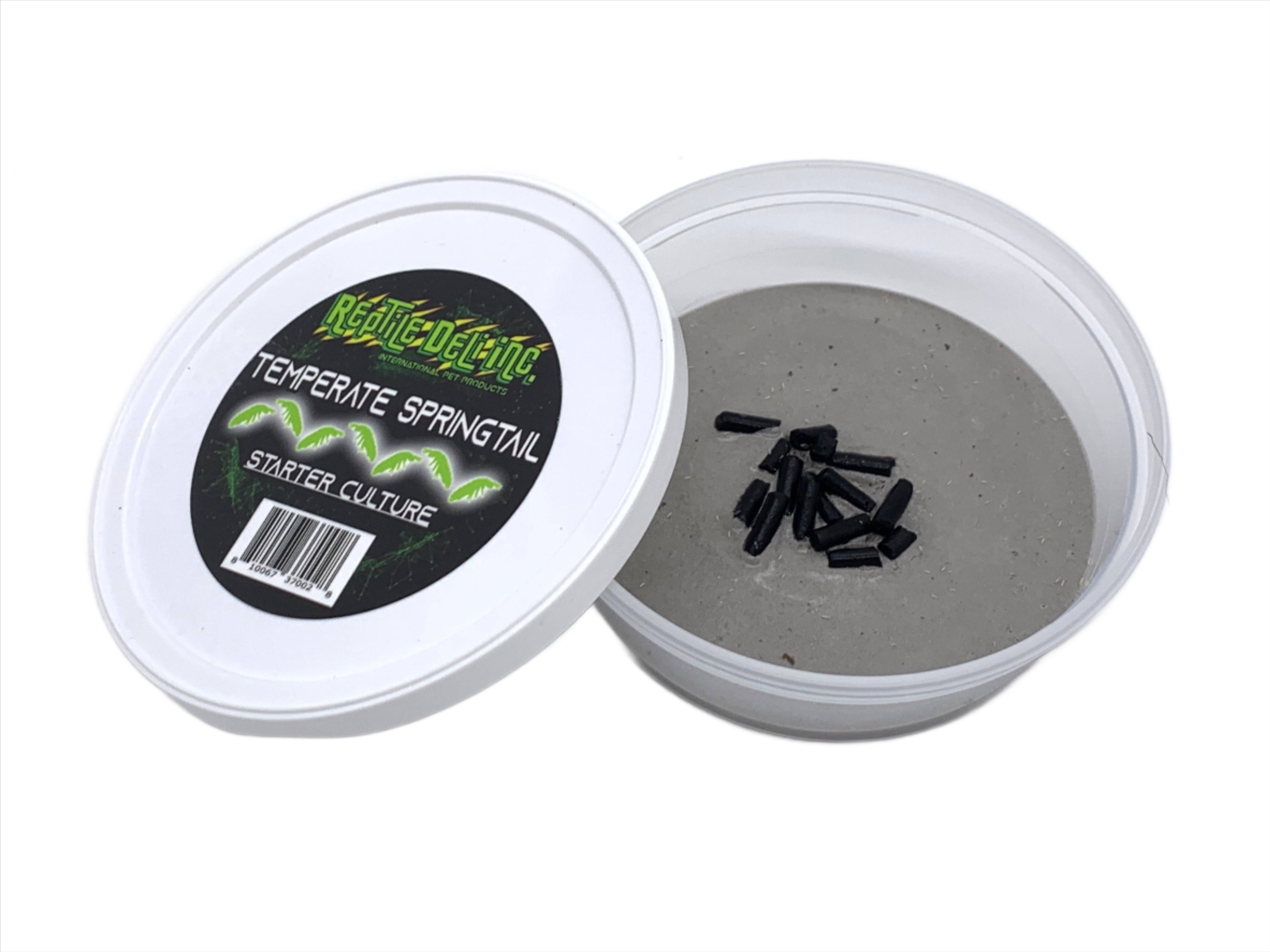 Temperate Springtail Culture - Reptile Deli Inc.