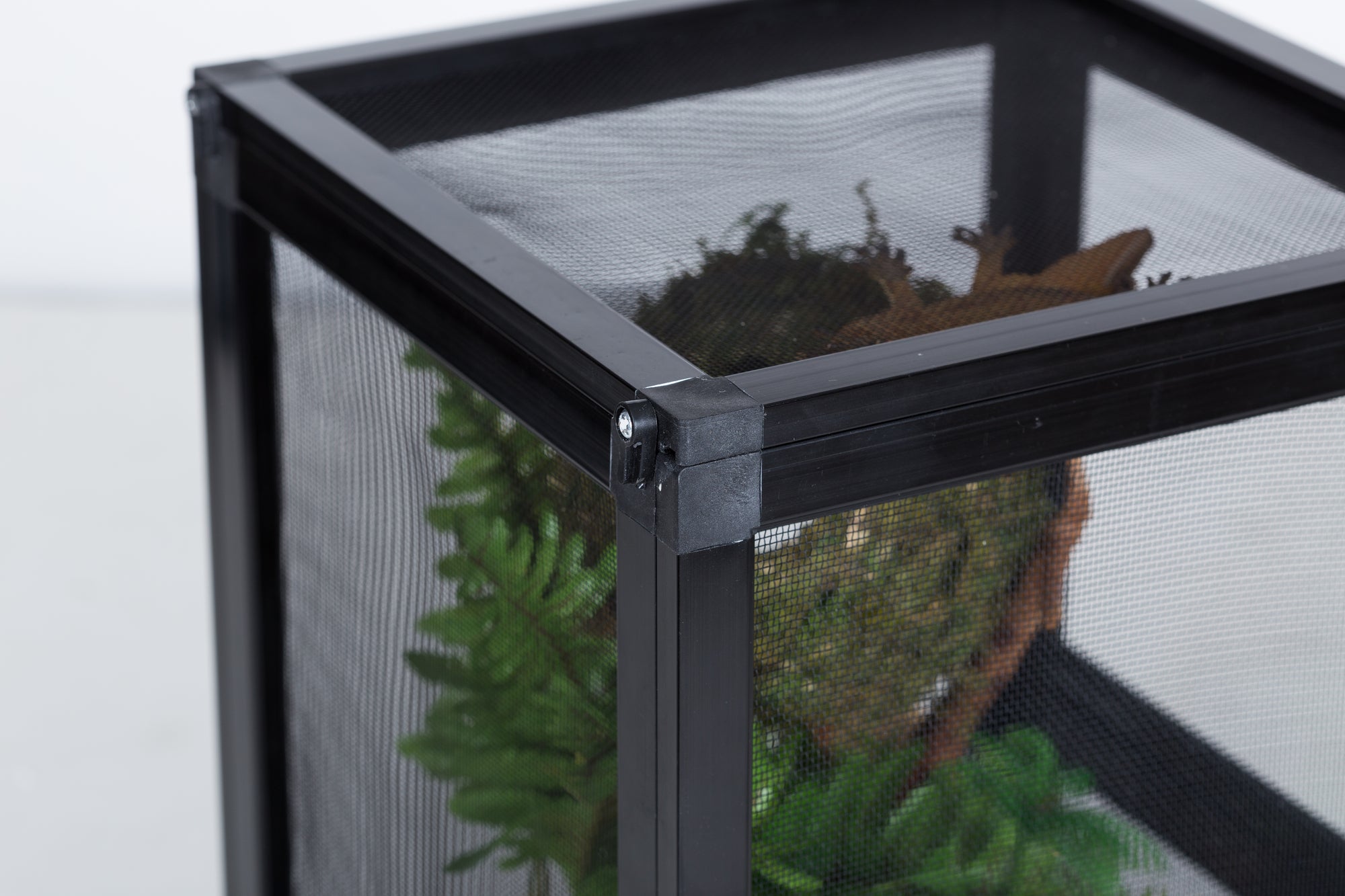 REPTIZOO - Crystal Clear Acrylic Door - Screen Cage - 10” x 10” x 12-1/2” (AC252532) - Reptile Deli Inc.