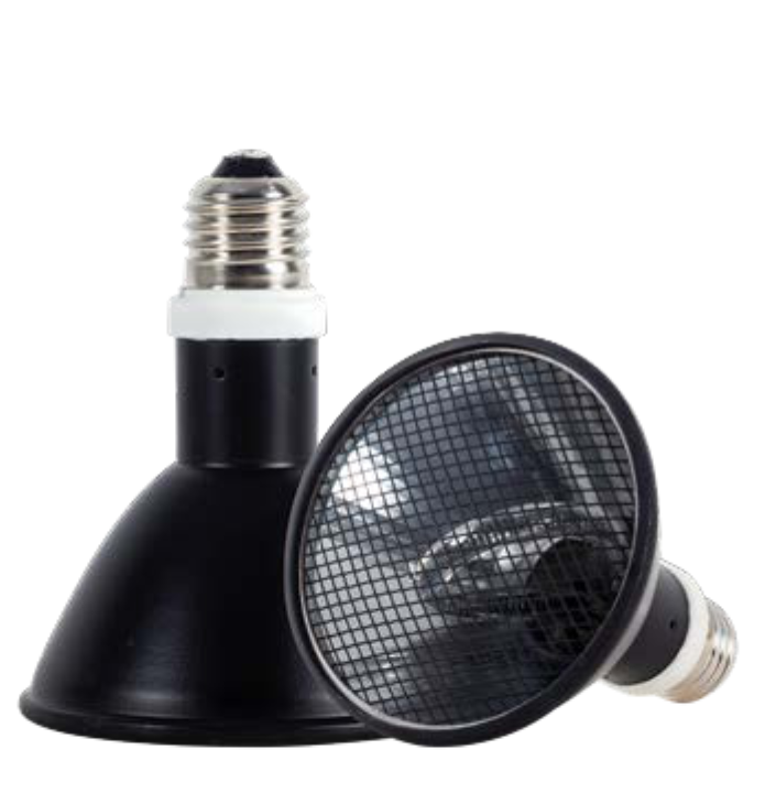 Reptizoo Splash-Proof Deep Heat Projector 80W(PAR95080) - Reptile Deli Inc.