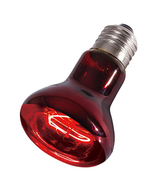 REPTIZOO - Lighting - Infrared Heat Spot Lamps 35W (R63035) - Reptile Deli Inc.