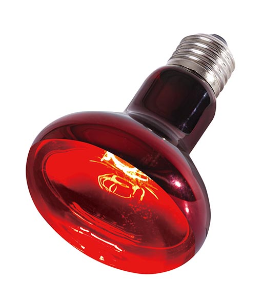 REPTIZOO - Lighting - Infrared Heat Spot Lamps 100W (R80100) - Reptile Deli Inc.