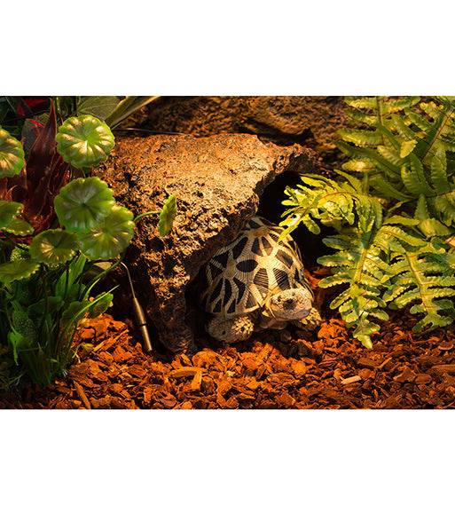 REPTIZOO - Reptile Glass Terrarium - Single Hinge Door - 36” X 18” X 18” (RK0119) - Reptile Deli Inc.