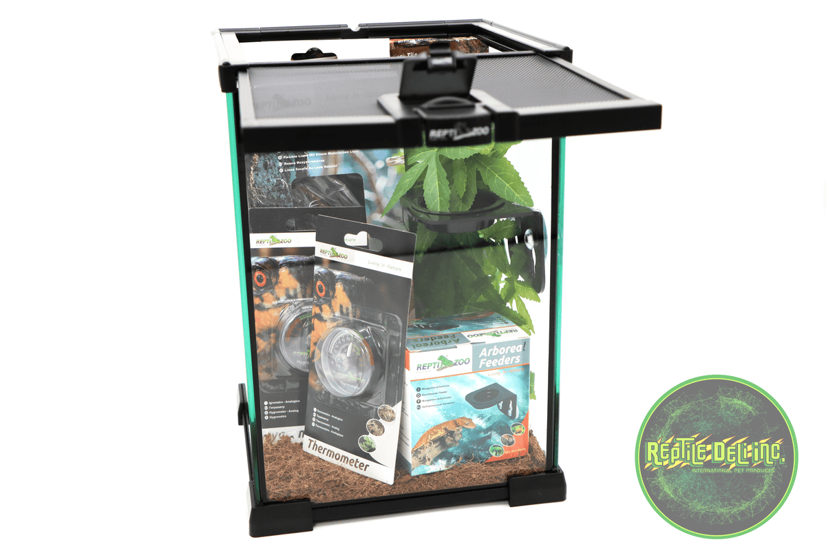 REPTIZOO -8&quot;x8&quot;x12&quot;-Crested Gecko Starter Kit - Reptile Deli Inc.