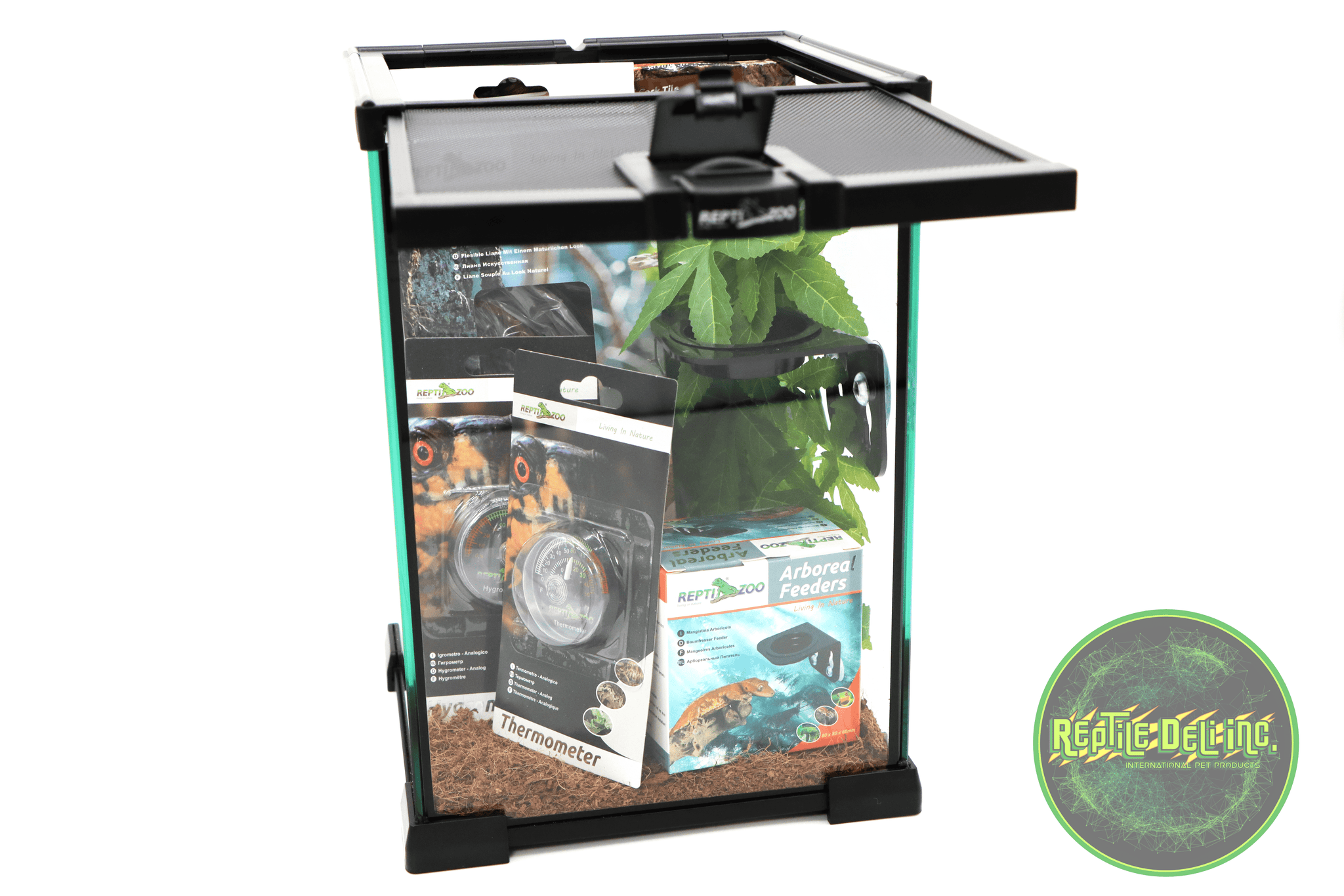 Pangea crested gecko 2024 kit