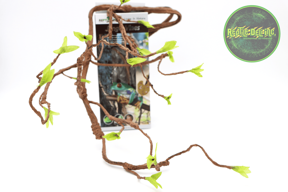 REPTIZOO -8&quot;x8&quot;x12&quot;-Crested Gecko Starter Kit - Reptile Deli Inc.