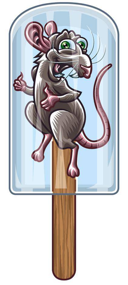 Frozen Rats for Sale - Small Plus Rat - Reptile Deli Inc.