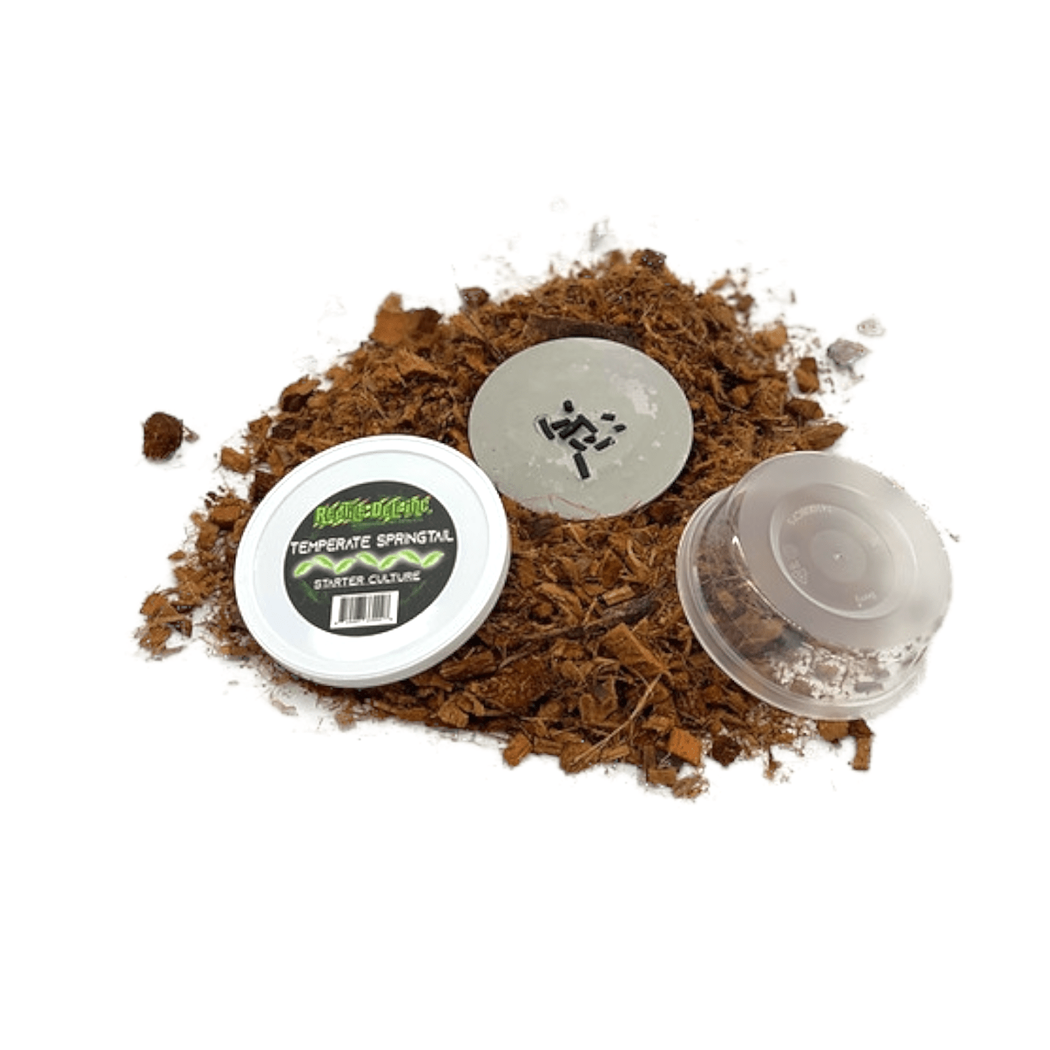 Temperate Springtail Culture - Reptile Deli Inc.