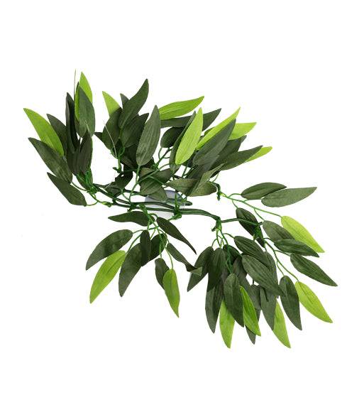 REPTIZOO - Terrarium Decoration - Terrarium Plant - Heternanthera Zosterifolia - S (TP001 12”) - Reptile Deli Inc.