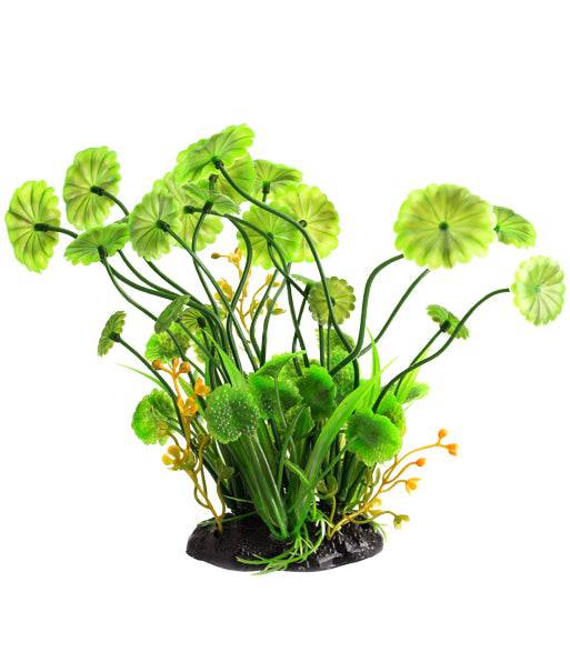 REPTIZOO - Terrarium Decoration - Terrarium Plant - Hydrocotyle Vulgaris (TP011) - Reptile Deli Inc.