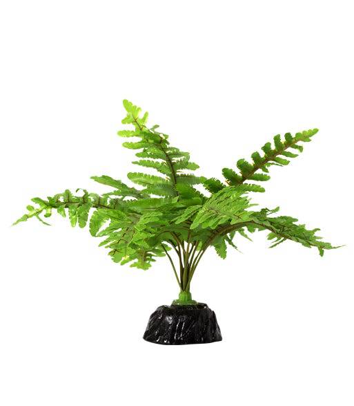 REPTIZOO - Terrarium Decoration - Terrarium Plant - Boston Fern (TP015) - Reptile Deli Inc.