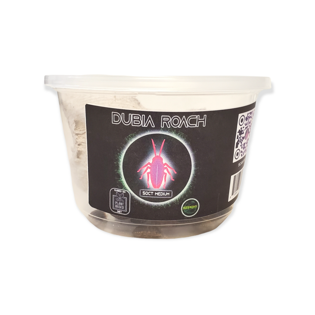 Dubia Roach - Medium - Cupped Roaches (50ct) - Reptile Deli Inc.