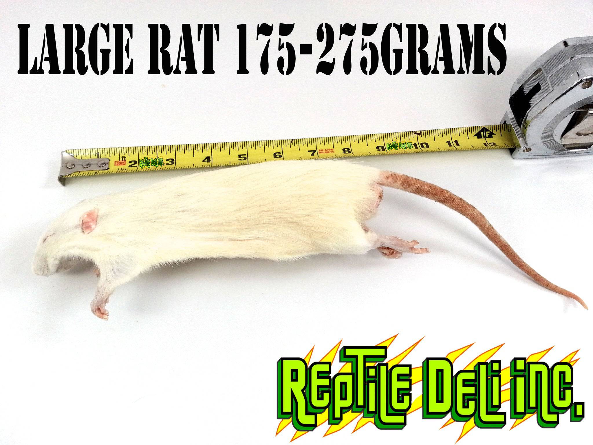 Frozen Rats for Sale - Large Rat - Reptile Deli Inc.