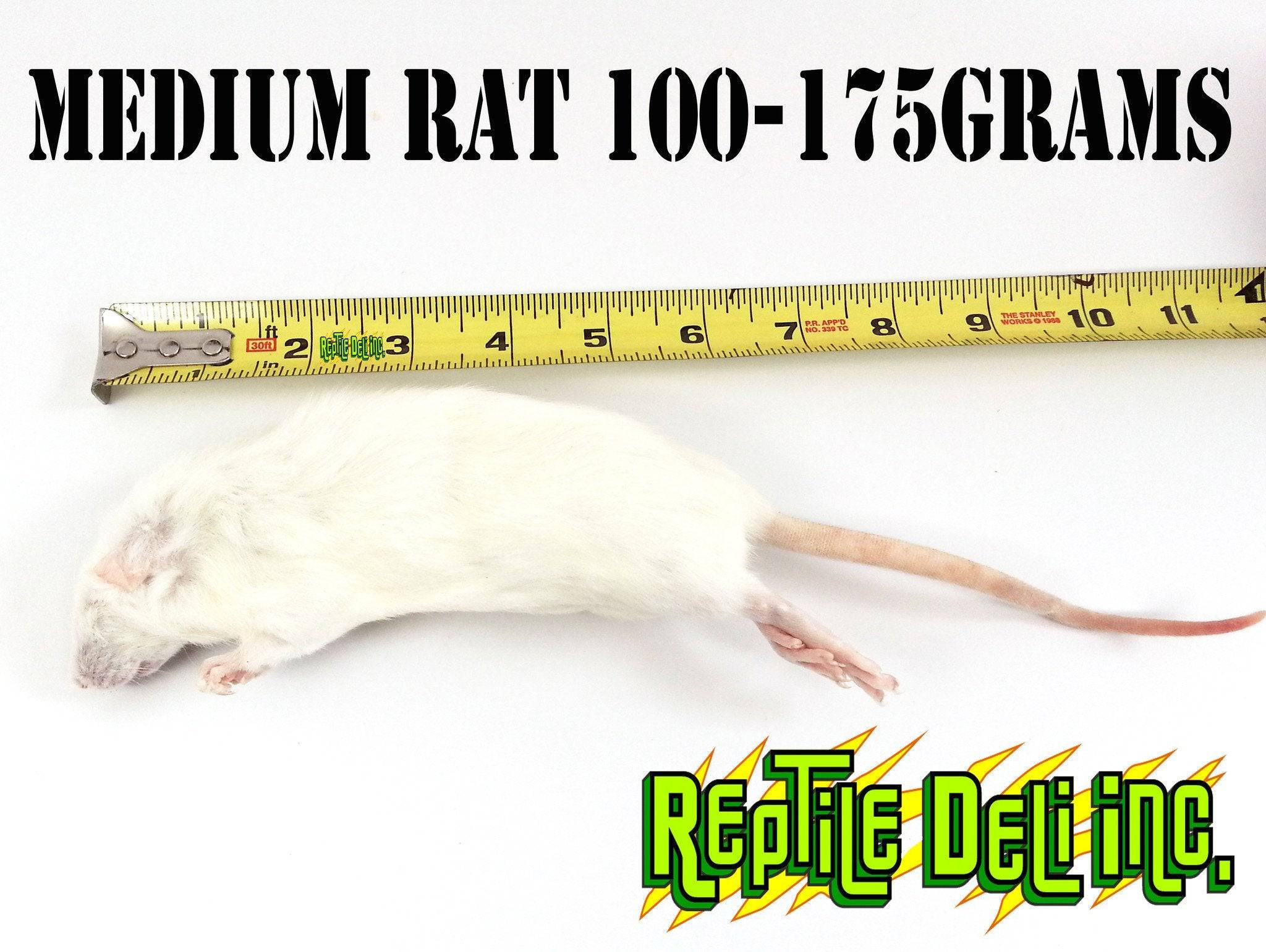 Frozen Rats for Sale - Reptile Deli Inc.