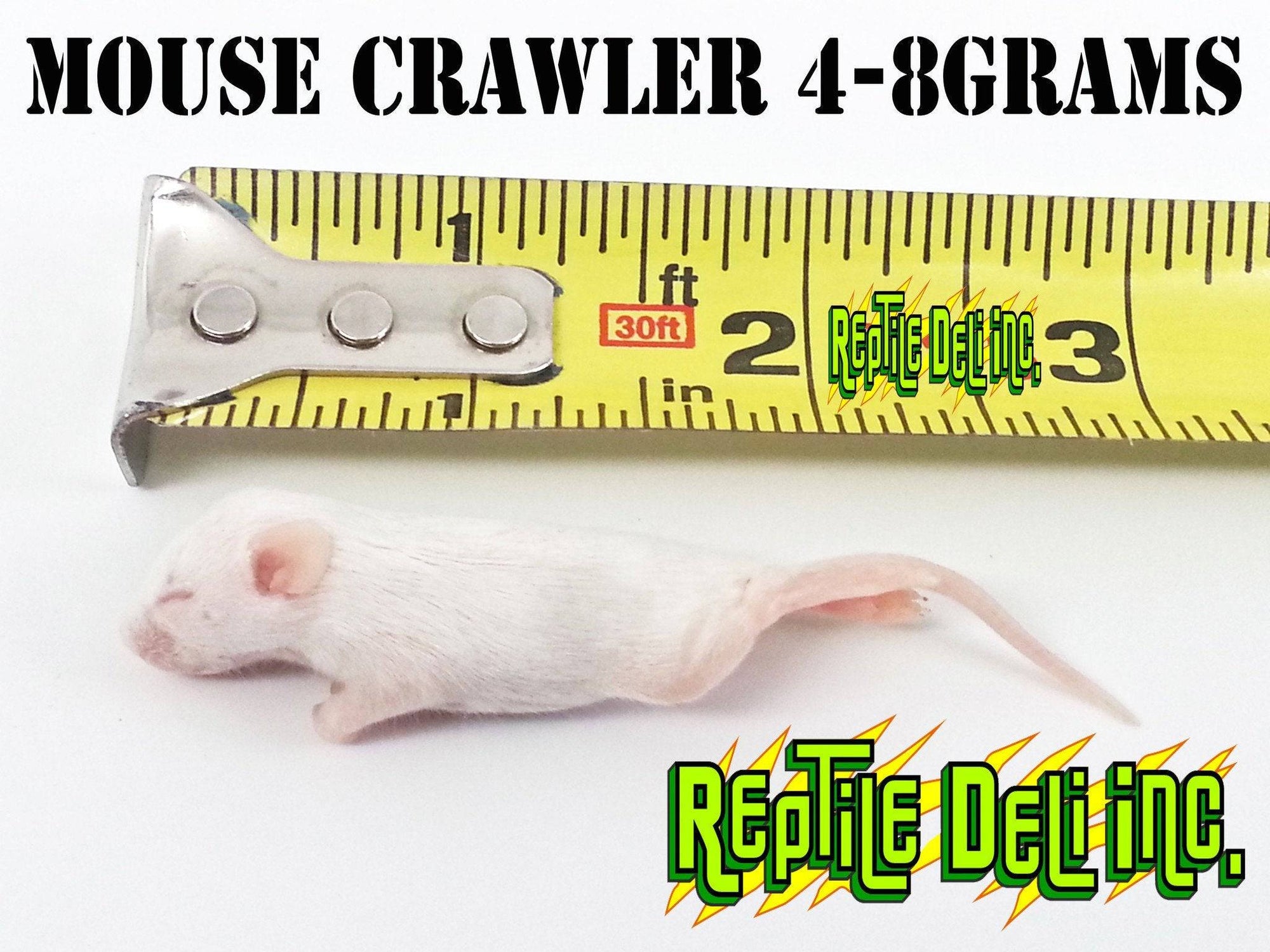 Frozen Mouse - Crawler - Reptile Deli Inc.