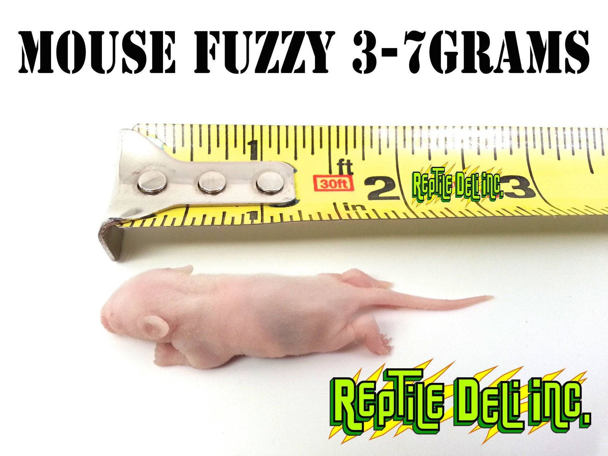 Frozen Mouse - Fuzzy - Reptile Deli Inc.