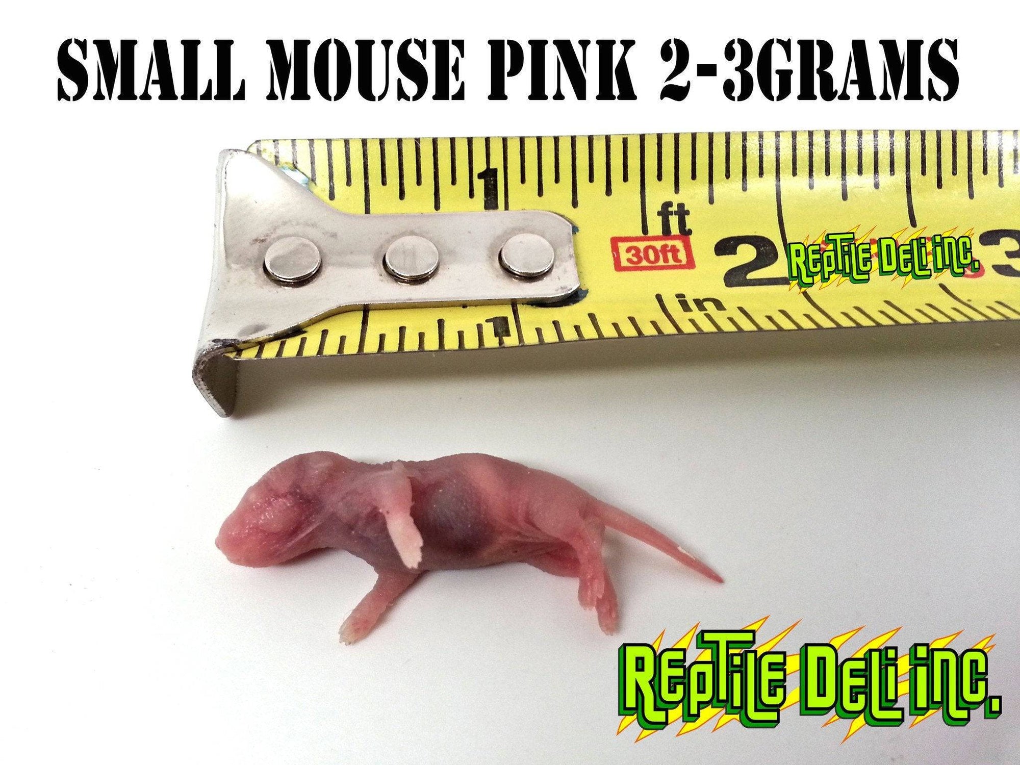 Frozen Mouse - Pinks - Reptile Deli Inc.