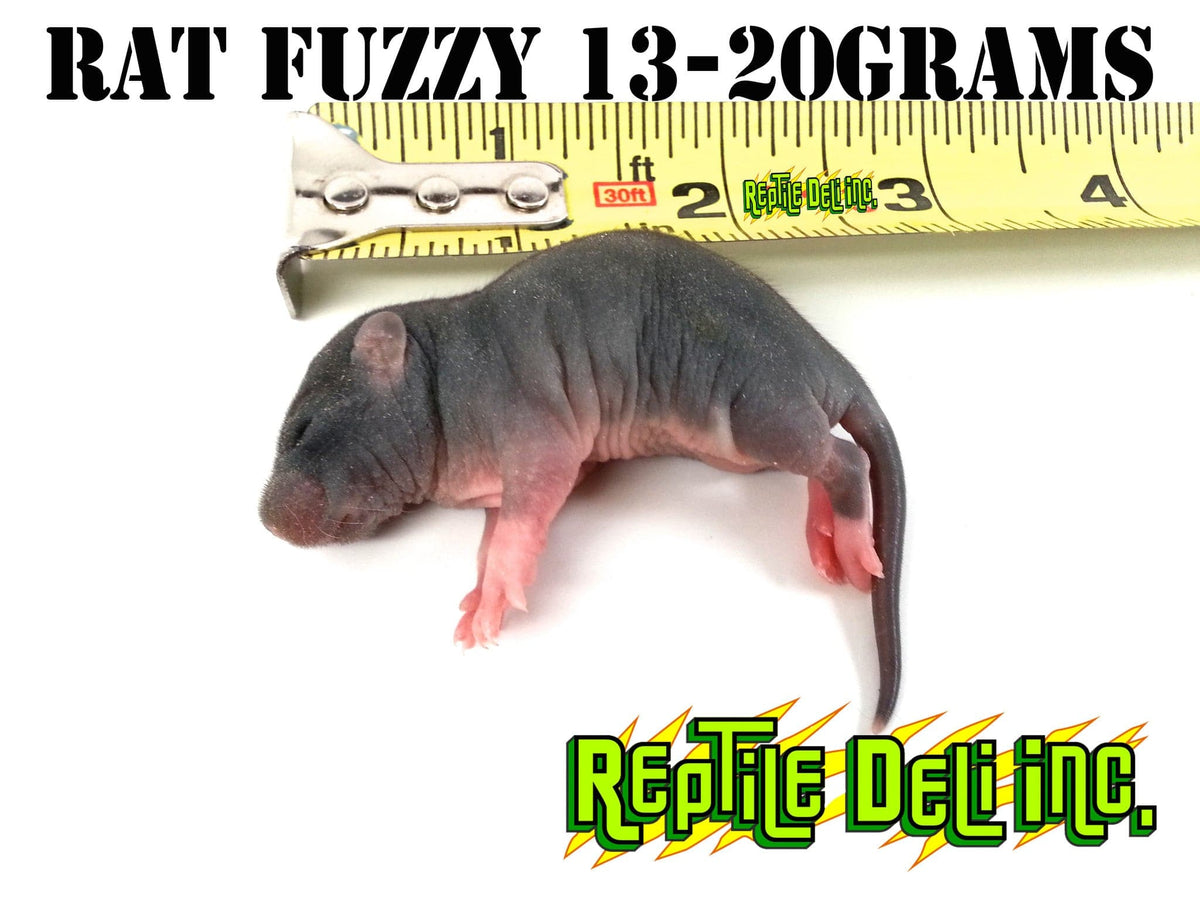 Frozen Rat - Fuzzy - Reptile Deli Inc.