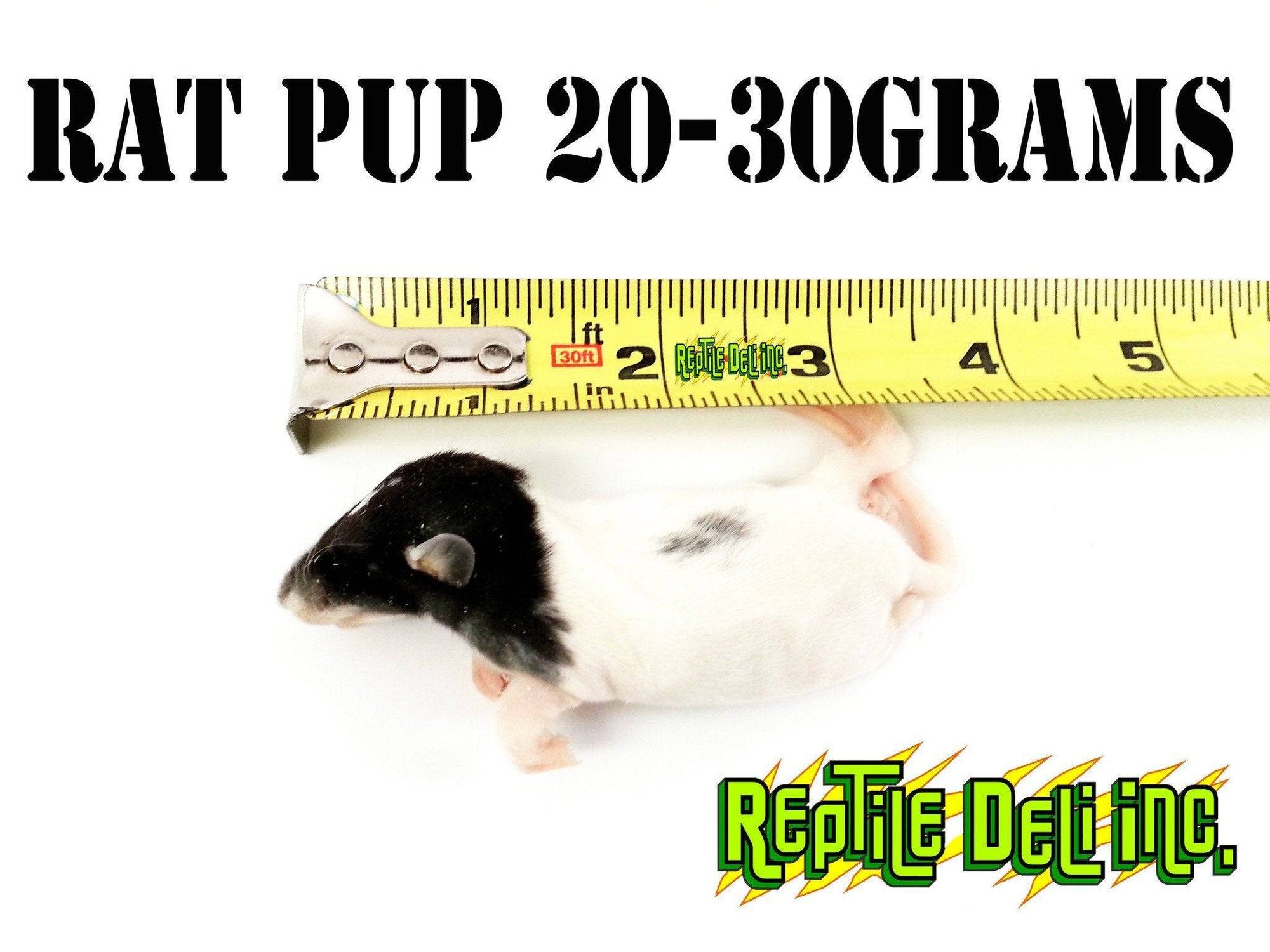 Frozen Rat - Pup - Reptile Deli Inc.