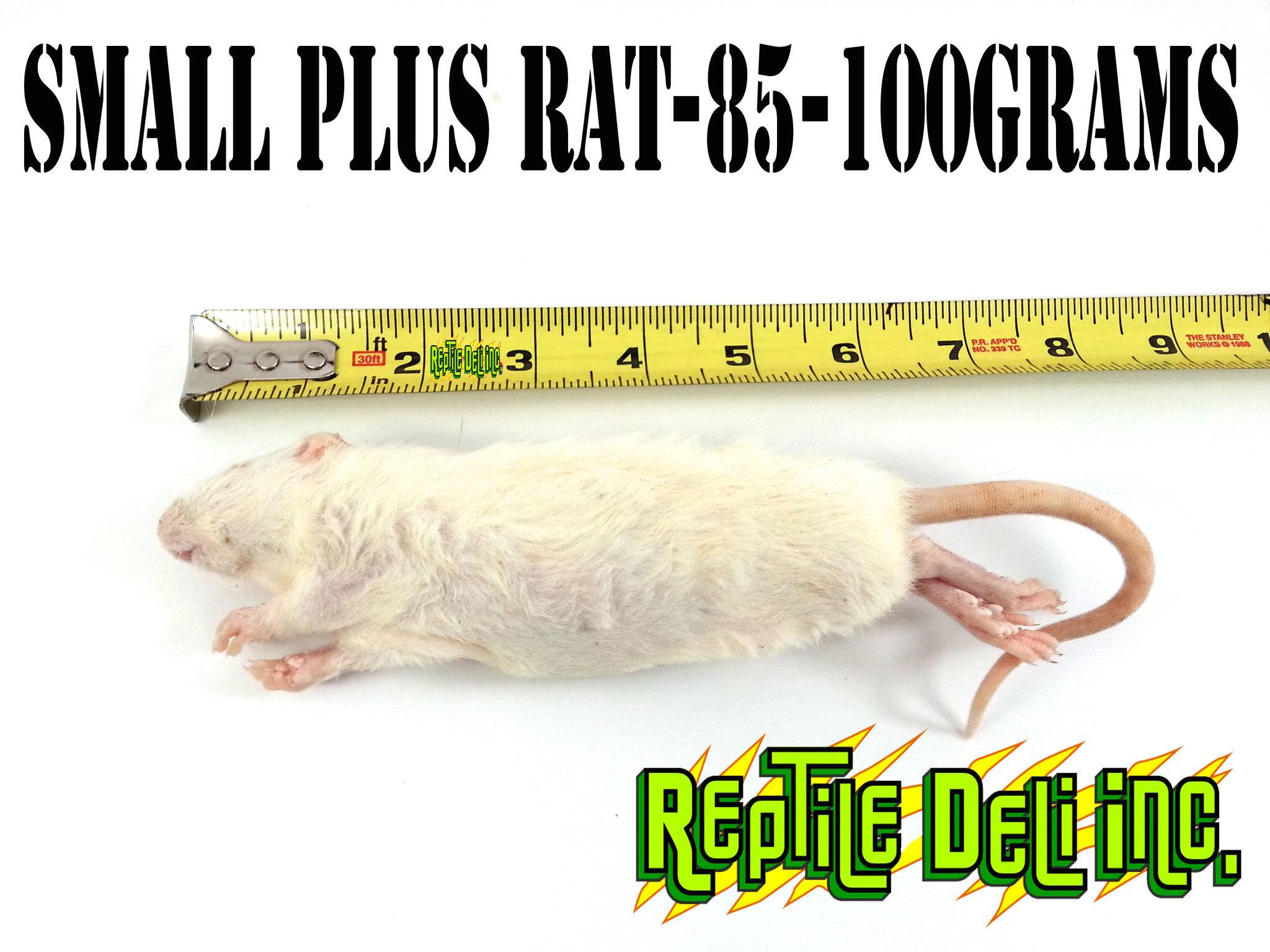 Frozen Scale Rats Frozen Rats for Sale - Small Plus Rat - Reptile Deli Inc.